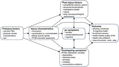 A Multidimensional Approach to Post-concussion Symptoms in Mild Traumatic Brain Injury